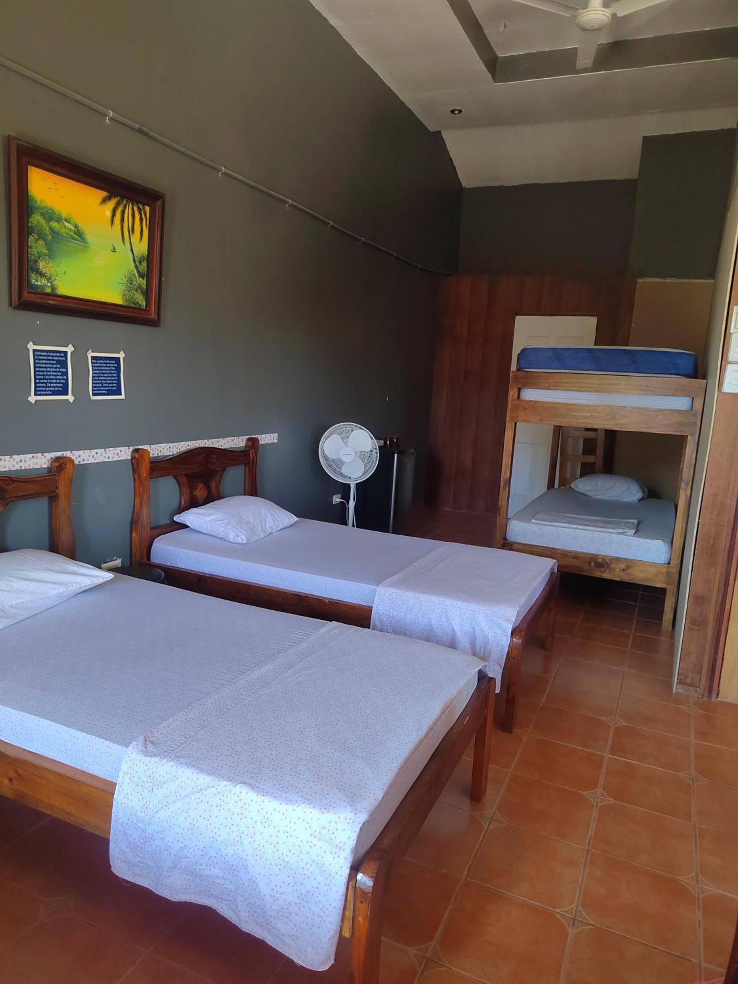 Sura House Corcovado Habitacion Big With Ac Puerto Jimenez Exterior photo